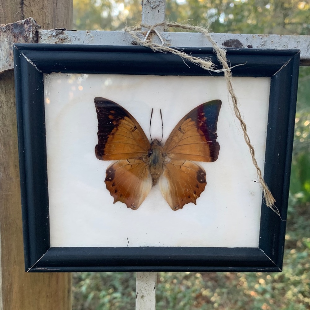 Meet The Posher!